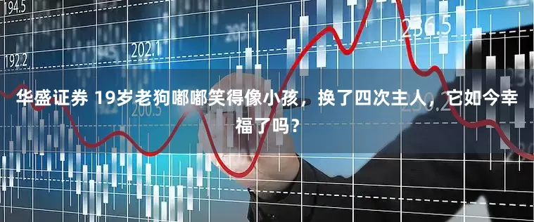 华盛证券 19岁老狗嘟嘟笑得像小孩，换了四次主人，它如今幸福了吗？