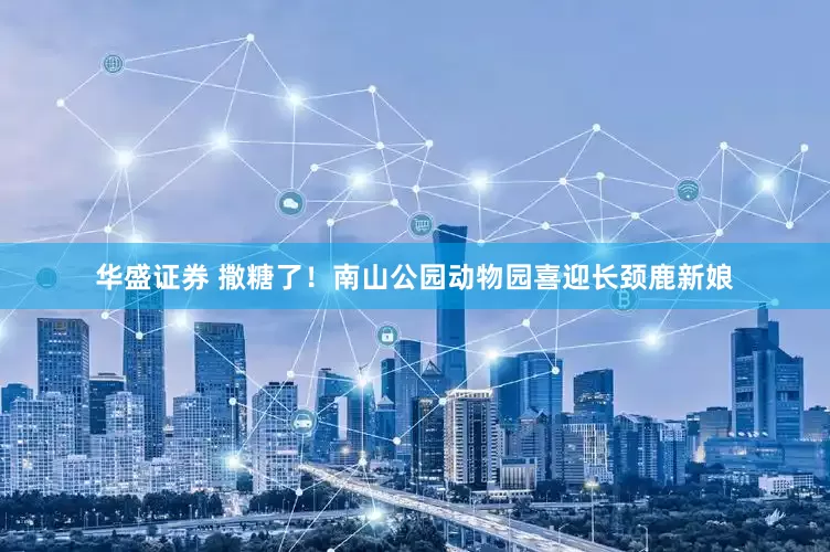 华盛证券 撒糖了！南山公园动物园喜迎长颈鹿新娘